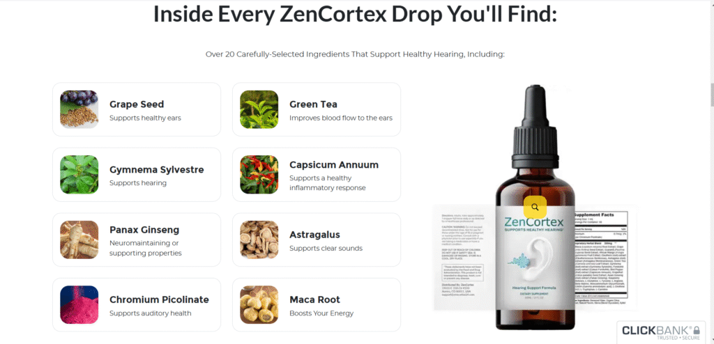 ZenCortex Review